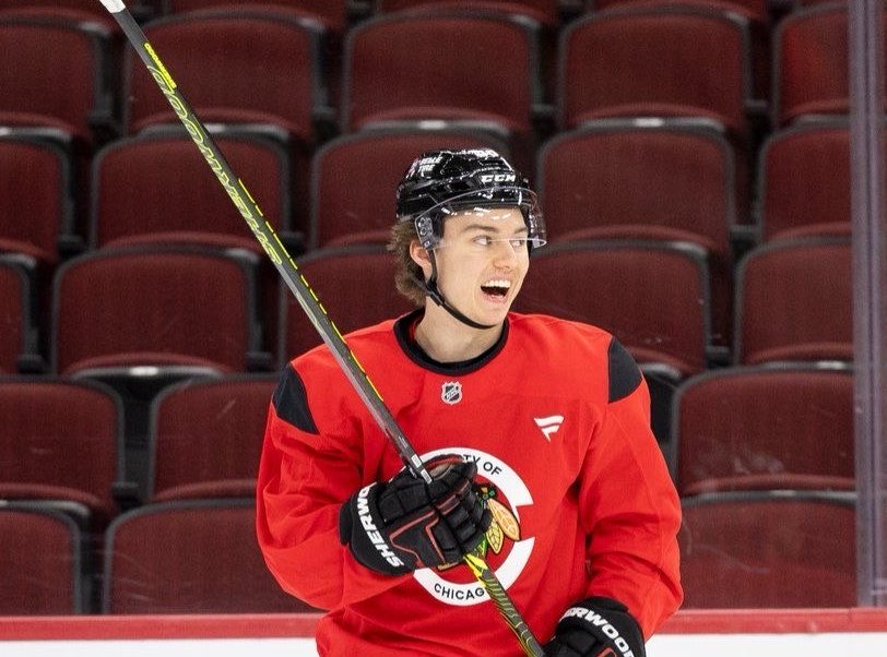 lesbian connor bedard 🏒 tweet media