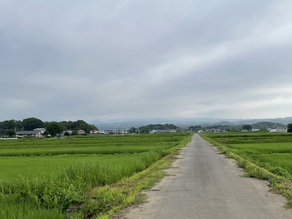 skyriverAMA's tweet photo. おはようございます😃
本日も曇り🌥️空で始まりです
曇り後晴れ☀️でしょうか
会社に向かっている途中から
日差しが雲☁️を切り裂いて
顔を覗かしました

赤城山⛰️さんも、雲☁️に覆われて
姿は見えません https://t.co/4XRAxtj5bs