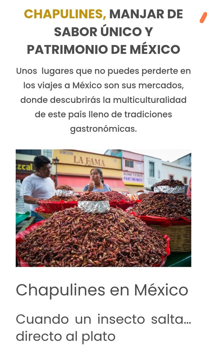 pulky's tweet photo. @gla6808 @ChinettiNacho @laderechadiario A comer chapulines señor Gourmet 👍🏼 https://t.co/GpkqWa3hag