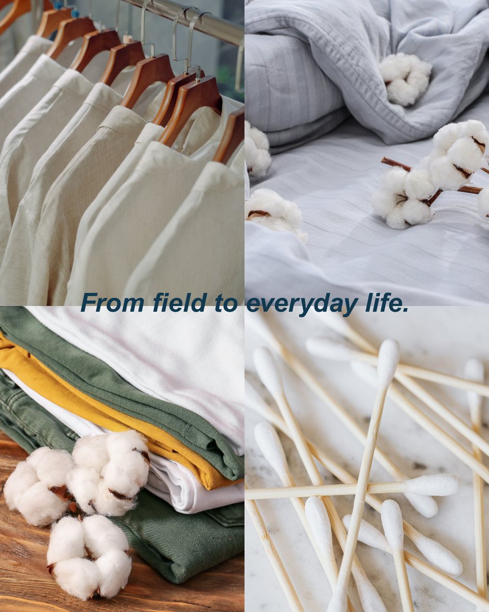 Bayer4CropsUS's tweet photo. Cotton connects agriculture to everyday life in a very real way. Bayer is proud to continue supporting cotton growers and the innovation helping move the industry forward. Learn more here: https://t.co/Fdaq1cXimP https://t.co/w9YwQiUYVX