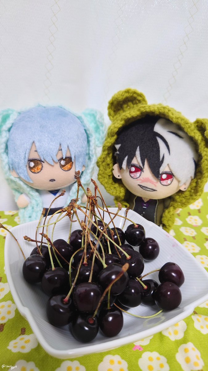cca_momo's tweet photo. さくらんぼとぬい
#まほやく_ぬい https://t.co/OKZ9HHkHzG