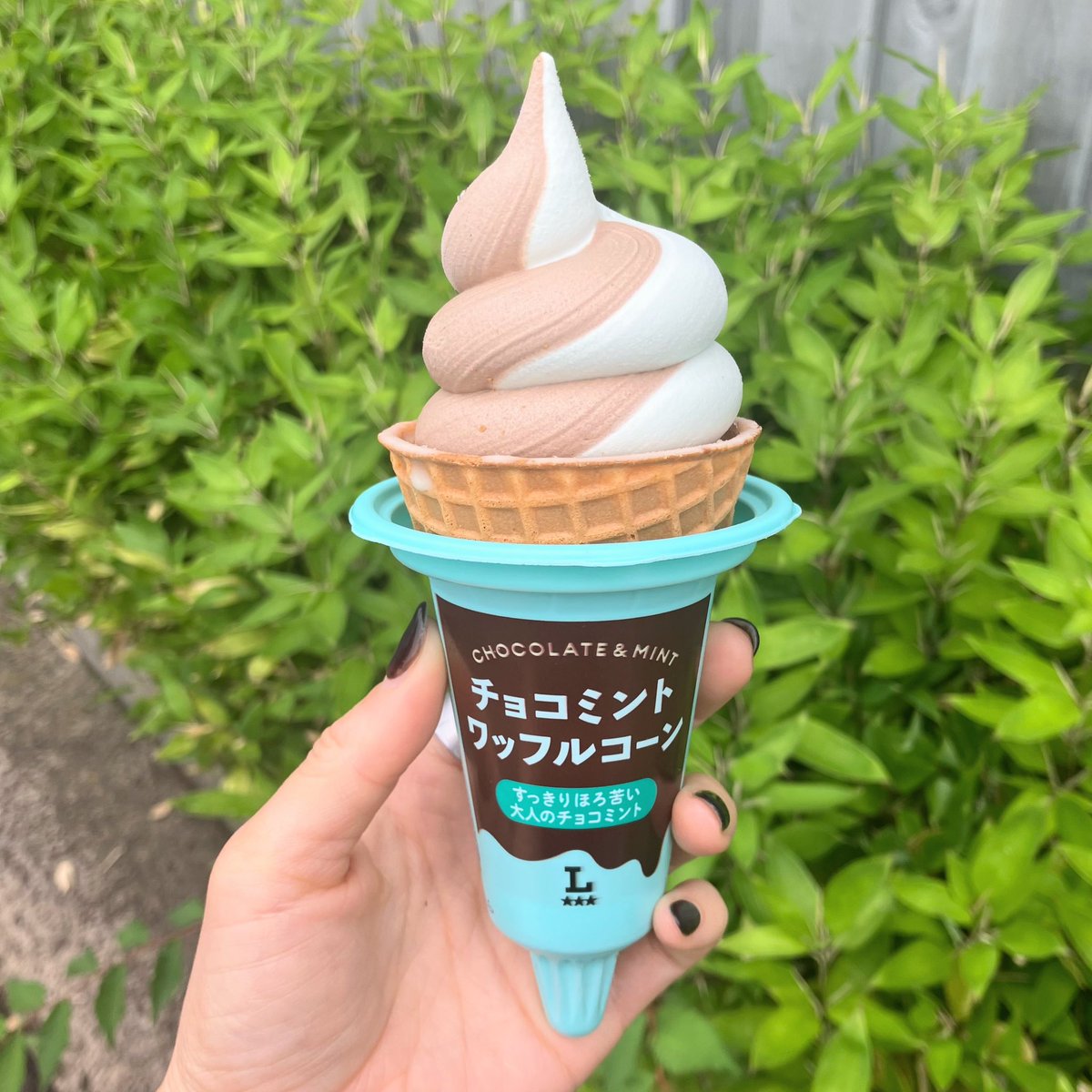 sn51's tweet photo. 何気にこのタイプのチョコミント珍しいかも？
食べるバランス難しいのでやっぱりチョコミントはチョコチップが正解なのか…🤔 https://t.co/tKCynjxeFD