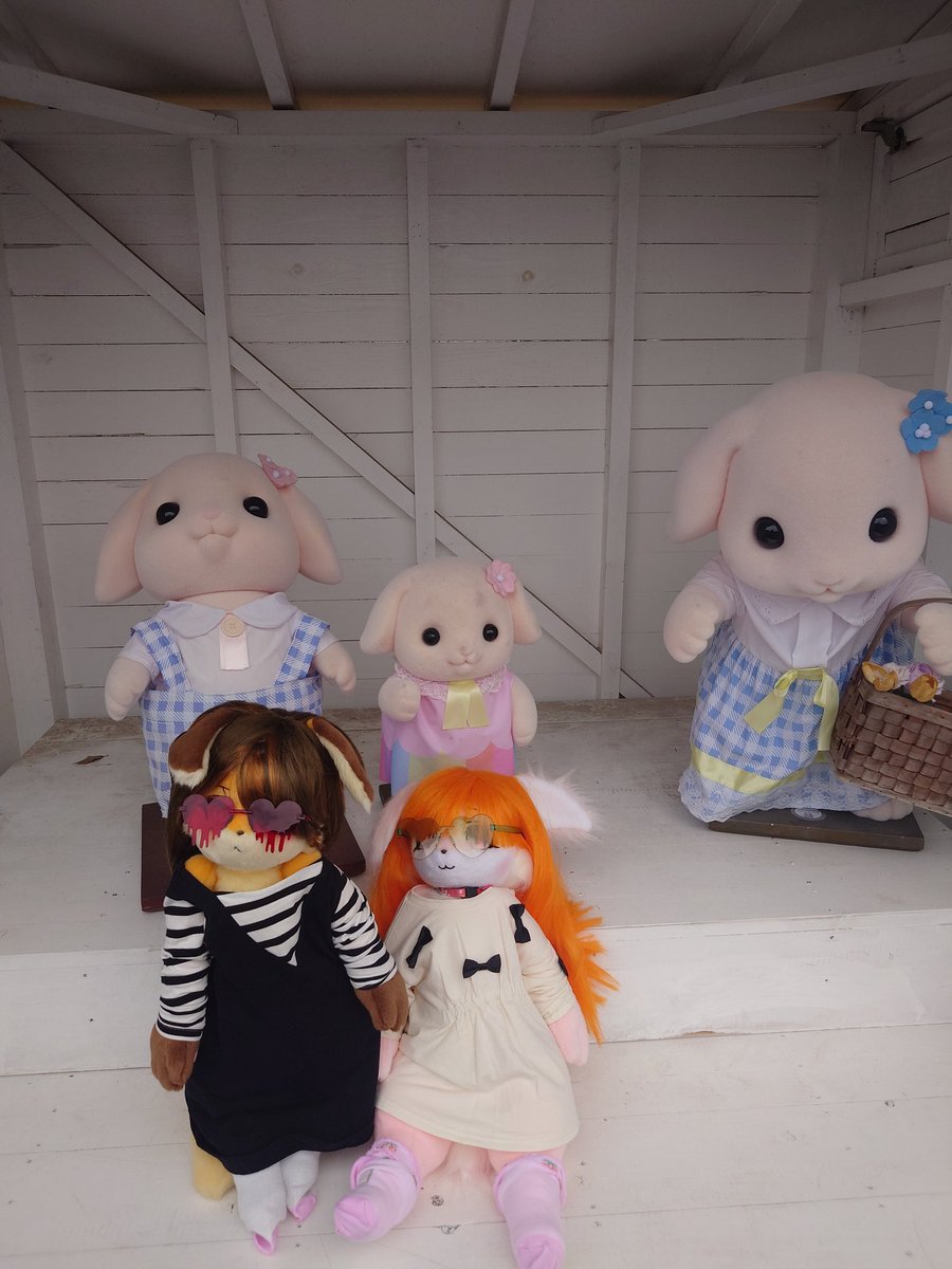 WIbh51881's tweet photo. 皆様方おはようございます〜✨
梅雨明けたのかな〜
#おはドル #おはぬい 
#けものひめ #シルバニアファミリー https://t.co/Of22CZsADl