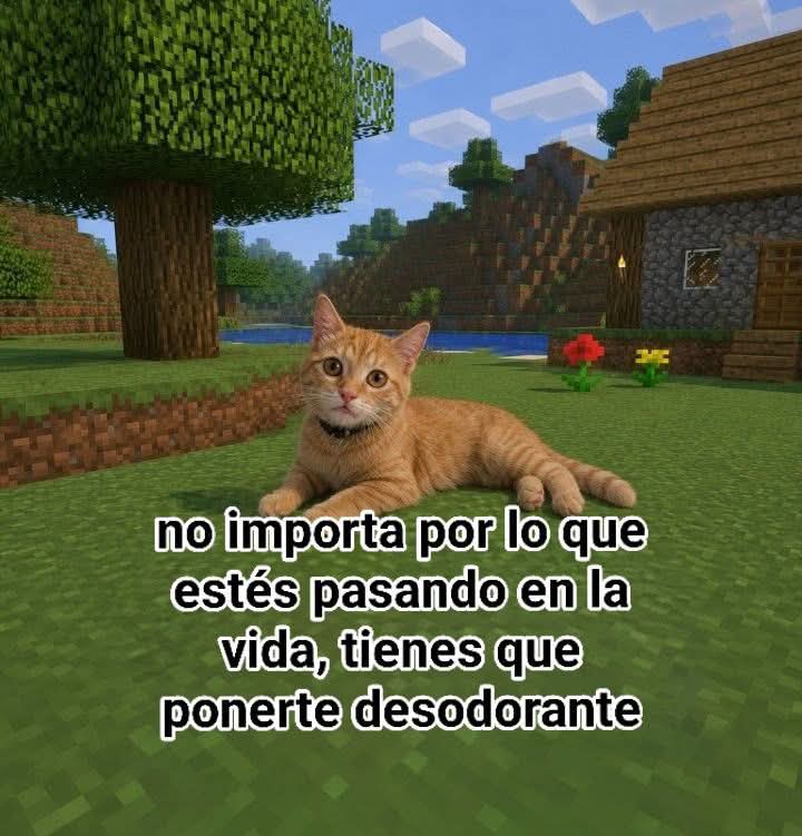 Animalesaprieto's tweet photo. https://t.co/Php5XD4Ggd
