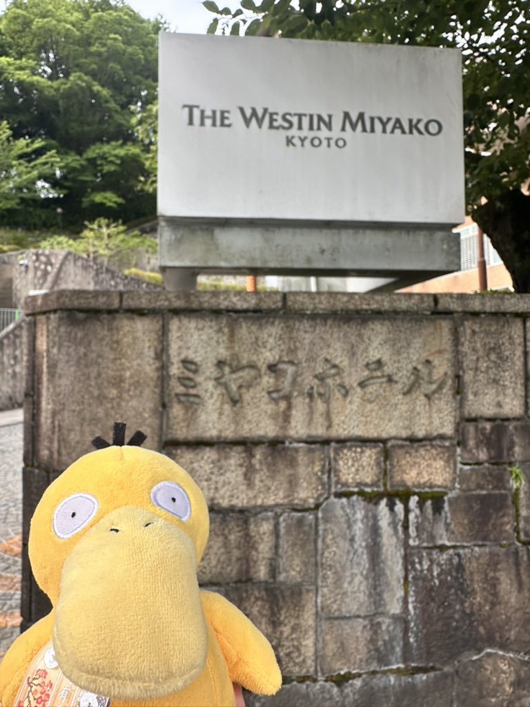 miyu_pui's tweet photo. https://t.co/ylrSI546Cd