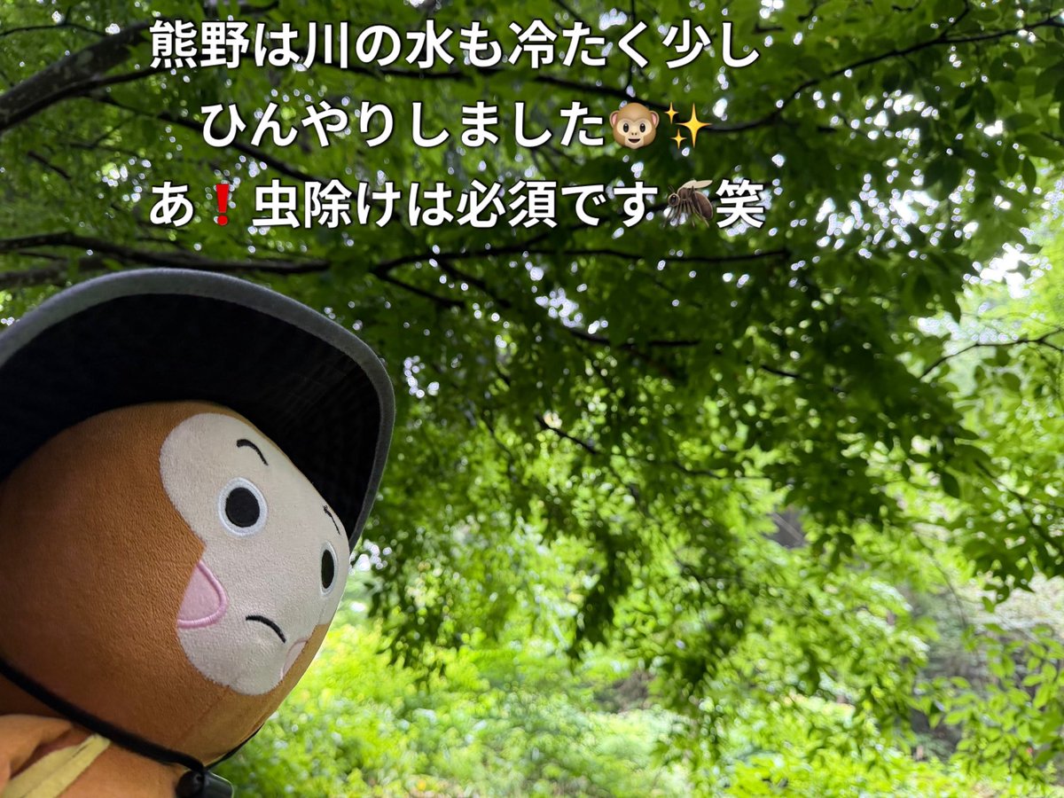 saijounohibagon's tweet photo. おはようございます✨備後西城駅始発は定刻通り🚃
昨日は庄原市議会広報委員会の皆様が映画「箱の中の羊」に登場した熊野の大トチの取材へ✨
ウイル西城で開催中のパネル展も見学いただきましたよ✨🙏
記事は8月の庄原市議会だよりに特集で掲載されるそうですので是非✨
それでは今日もお元気で☺️🙇‍♀️ https://t.co/3KYOda14HZ