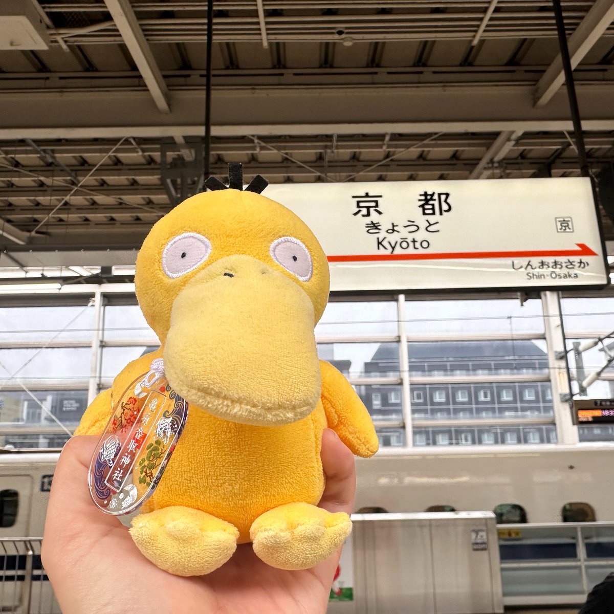 miyu_pui's tweet photo. https://t.co/9P3e0K8xeW