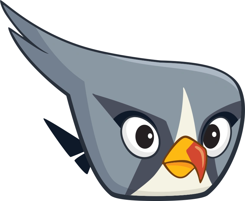 The Feather Hed tweet media