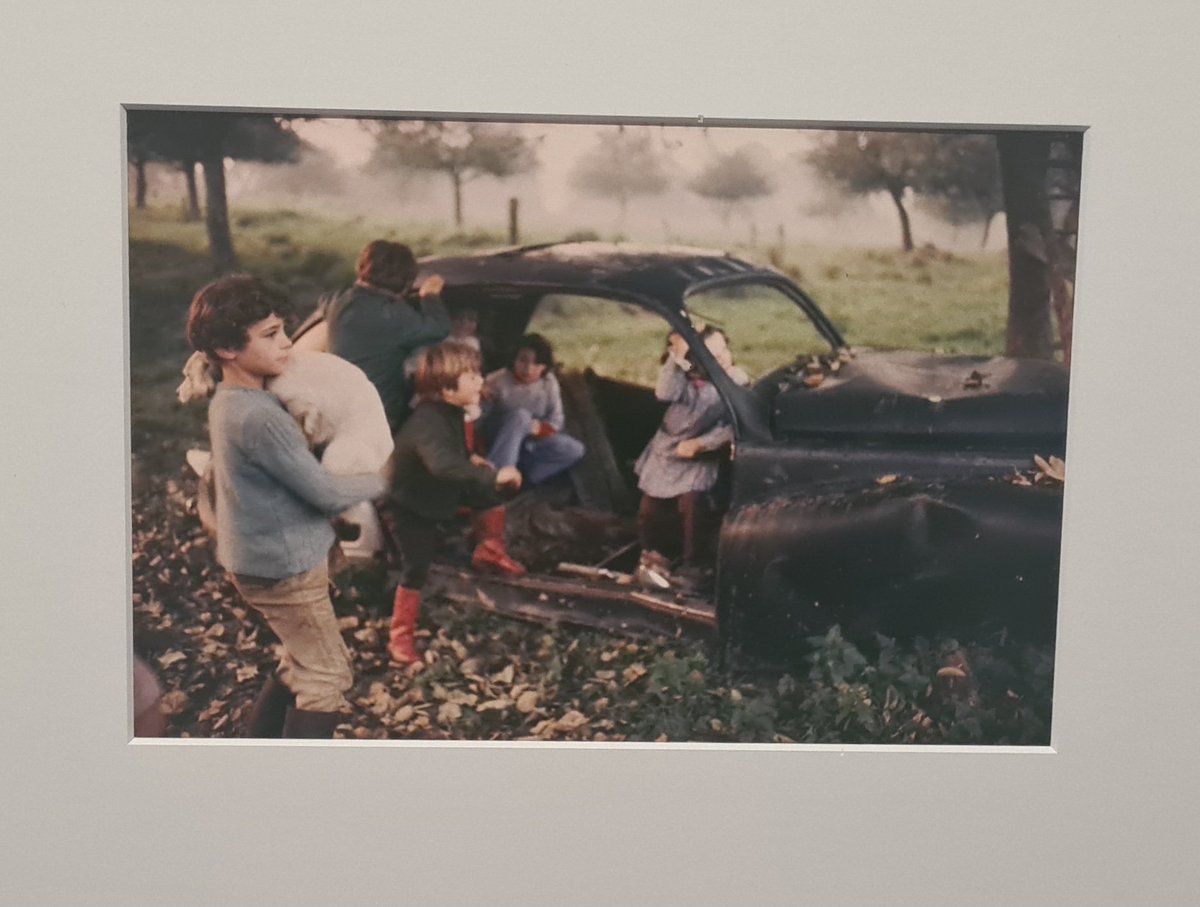 PolluxPetrus's tweet photo. @palais_au J'ai adoré cette exposition, d'une violente douceur. https://t.co/QD4TMXzhpq