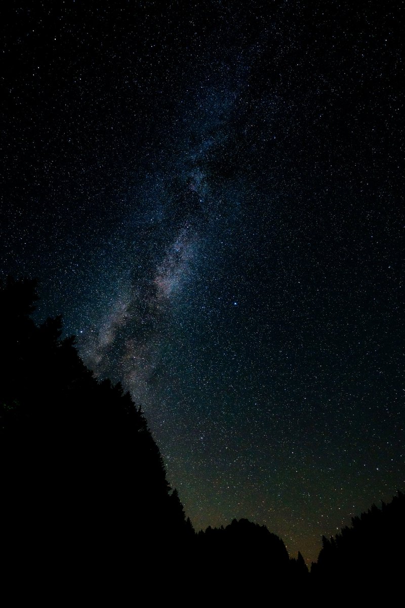 uhd2020's tweet photo. Stars of the galaxy ✨ https://t.co/QzXNu7C5JX