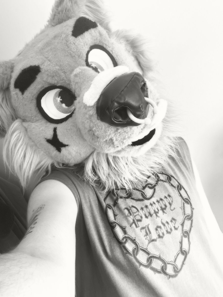 Your Paw Bones tweet media
