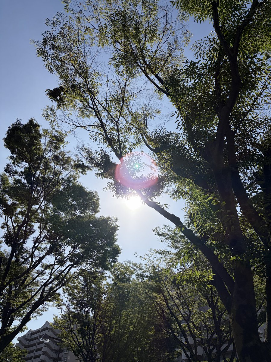 YOU_20230224's tweet photo. おは𝒴𝒪𝒰*🫧

お天気よし☀️

気分もよし☺️🧡

こんな日は

深呼吸して

思いっきり笑って過ごそう🌱

今日という一日が

みんなにとって
やさしい時間になりますように✨ https://t.co/bvodV3zEpd