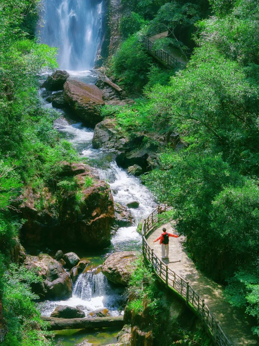 haijunlihjl's tweet photo. Immersed in lush woodland, the flowing waterfall gifts natural coolness for summer wanderers.
深陷浓郁绿意之中，奔涌瀑布送出山野凉意，开启惬意的夏日山野漫游。
#WildNature #TrailWalk #CoolSummer https://t.co/y3VNTQPtto