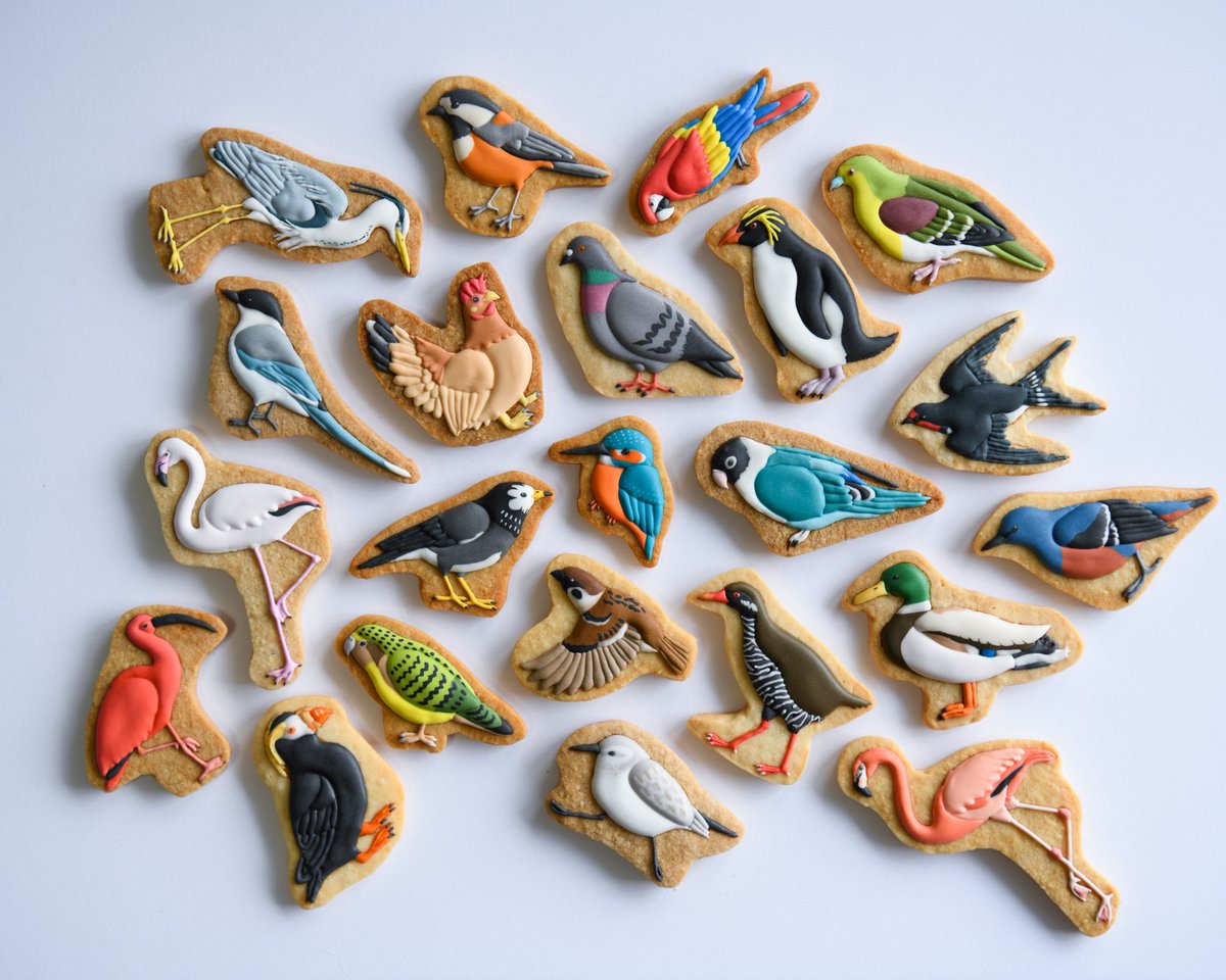 birdcookielog's tweet photo. #生き物作家さん集まれ2026 

鳥のクッキーを制作しています🍪

鳥好きですが、虫や動物などあらゆる生き物に興味があります。生き物作家さんと繋がりたい！ https://t.co/JBMv1nWJ7p