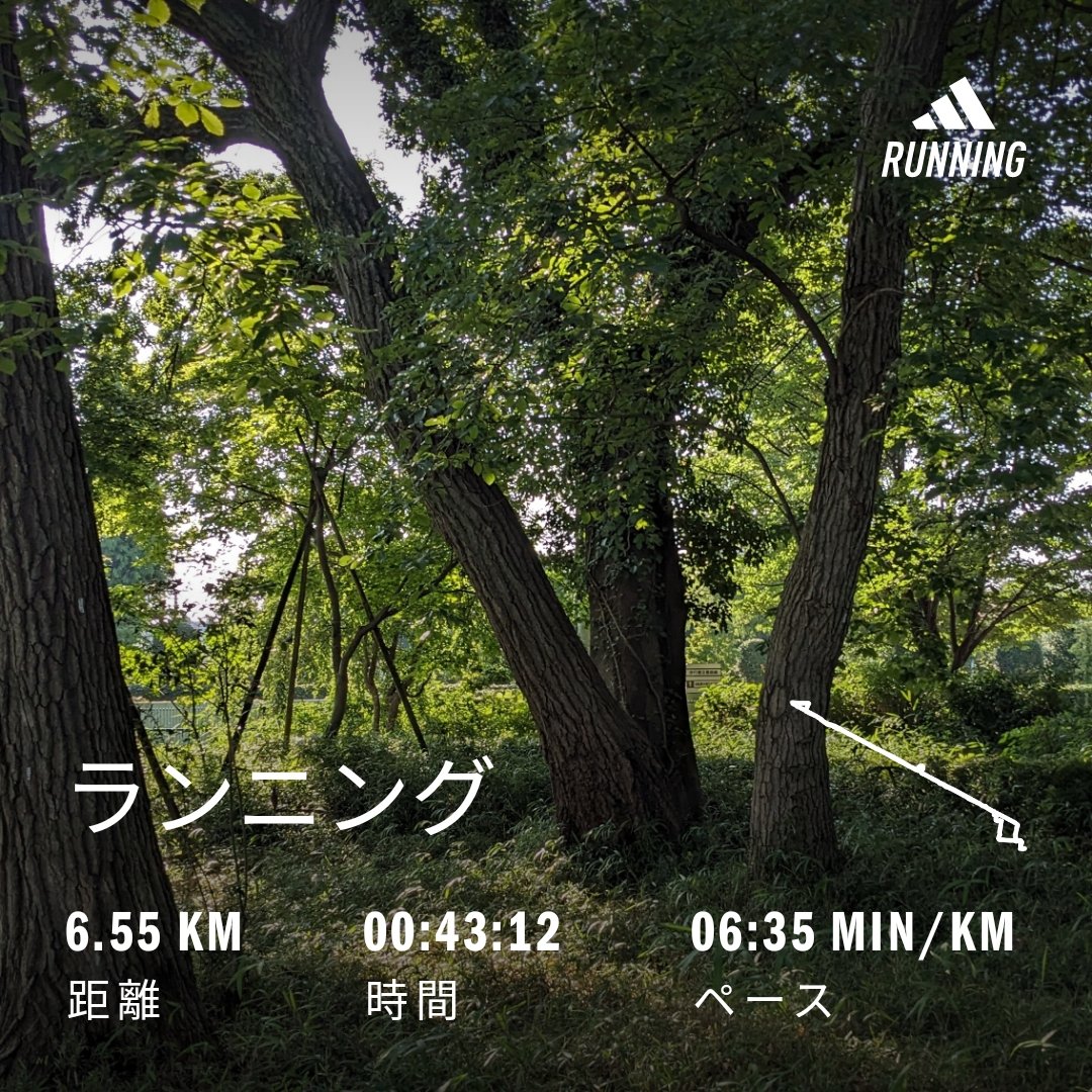 gf47f's tweet photo. いつもの自転車道🏃
こんな木々があったとは👍😄 https://t.co/Zn2S7eIx9h