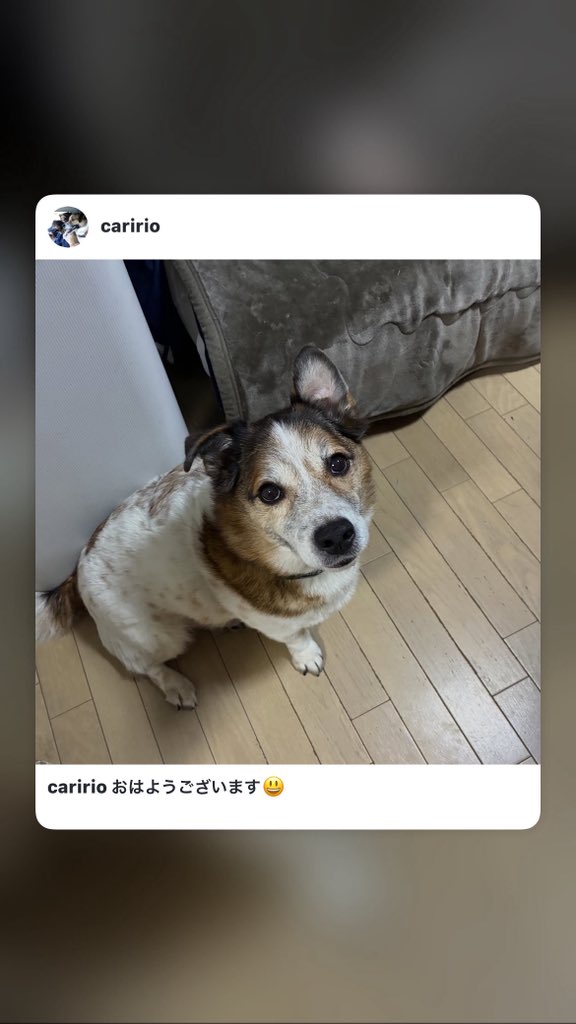 caririo's tweet photo. おはようございます😃

お店からのお知らせをInstagramにアップしてます★

本日もよろしくお願いします。

 https://t.co/qPh51YS61m https://t.co/2IqPILWWCs