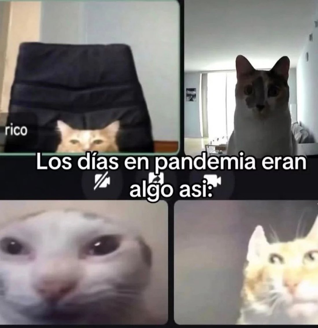 tomiezequiel15's tweet photo. https://t.co/M0seYUWV5d