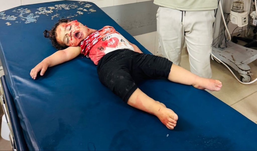 hammadnuman0's tweet photo. Vallahi moralim çok bozuk, hiç mutlu değilim, içim paramparça, o kadar darlandım ki yaşama sevincim kalmadı. Katiller ülkemizde cirit atıyor, meydanlarda ahkam kesenler ortada yok. Ankara'da Netanyahu övülüyor. Attığım her twitte polis evimizi basacak mı diye düşünüyorum. Bir yandan Filistin'den acı görüntüler gelmeye devam ediyor. Çıldıracağım.
