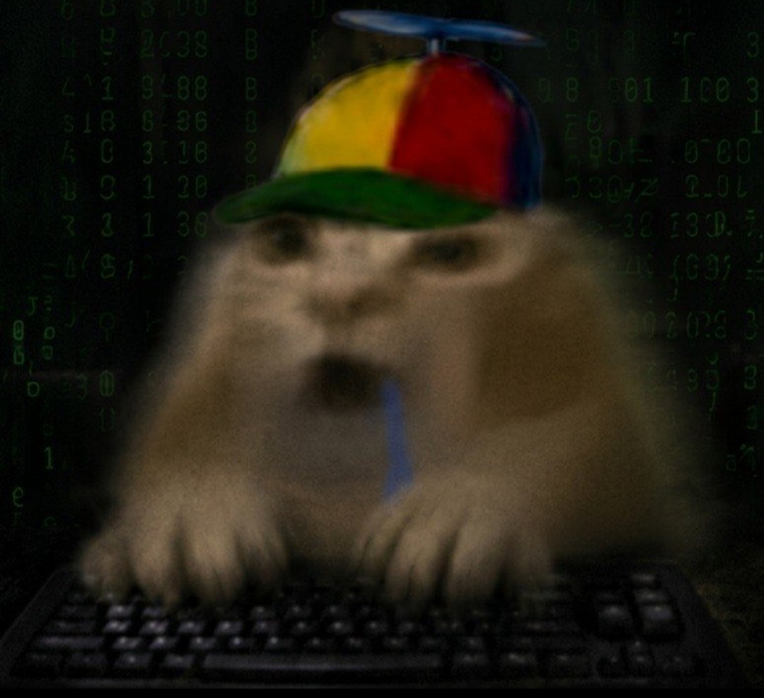 GatoCs tweet media