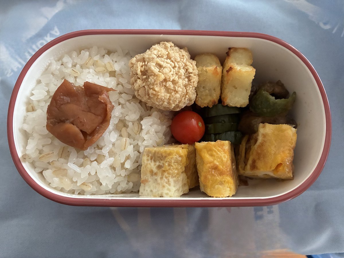 zeroichimaru's tweet photo. おはようございます☀️

今日は上の子が朝から張り切ってお弁当を作ってました🍱✨
「全部一人でやりたいからあっち行ってて」と、最初から最後までキッチンに入れてもらえず🤭いつの間にかどんどん大きくなっていくのね🥹
これにバナナと冷凍ゼリーのおやつも🍌 https://t.co/1A0N5QLXd0