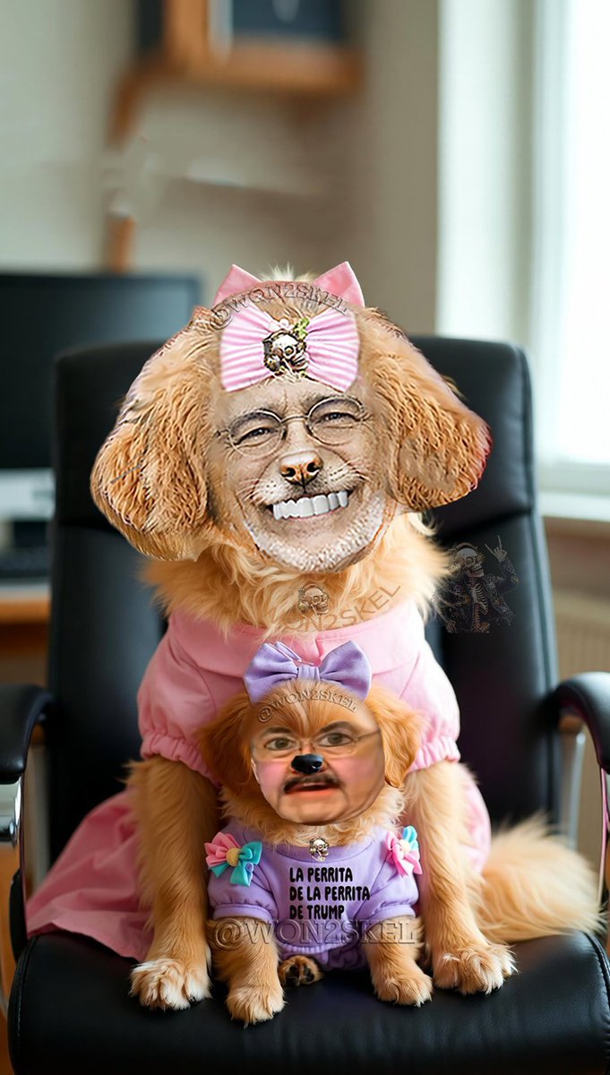 won2skel's tweet photo. @tiopedritosola Bueno, bueno #LaPerritaDeTrump cagoteo a la otra🐩la tía Pedro sola que cree que por trabajar 30 años en la basura de Ventaneando ya puede opinar lo que se le antoje.  Y falta la 🧙de la Pati Chapoy, ella también estuvo de acuerdo.🤨🤷 #LaPerritaDeTrumpPorSiempre https://t.co/IkHMa6cKV6