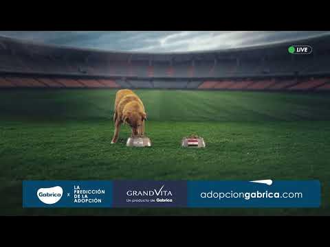 limshp27's tweet photo. Qué bonito saber que @Gabricaco llegará a donar 21 toneladas de alimento 😭🐶 muchos peluditos van a tener su propio golazo este Mundial ⚽ #UnHogarConGabrica #Adoptacongabrica https://t.co/XuSXPD7907