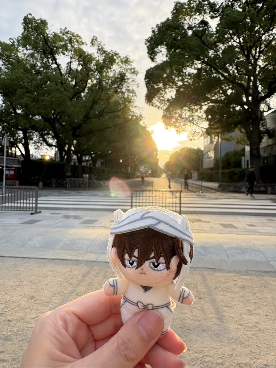 umahitsu's tweet photo. そう言えばこの天殿フェアリー級🧚‍♀️に可愛いから見てほしい
光の反射がシャボン玉みたいで、それを目で追ってるみたい🫧🫧 https://t.co/WuUmB5ZeuE