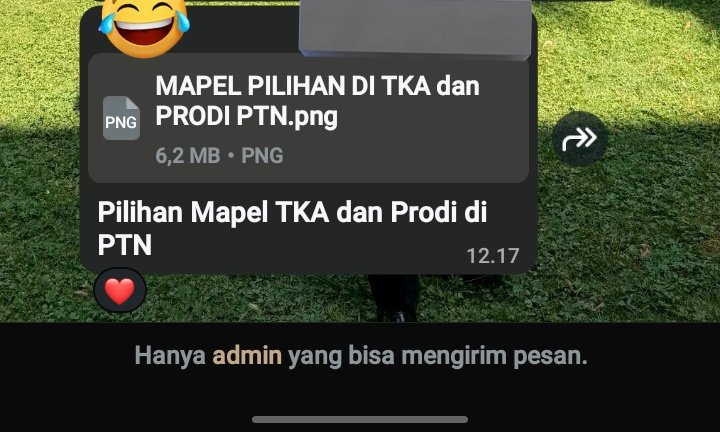 need4usn's tweet photo. adalah ini contohnya, baru naik kelas 11 udah disuruh pilih mapel tka padahal tes nya kls 12 dan lu mau tau.. dikirim kemaren bates pengisiannya besok, lu pikir aja emang 2 hari pas buat mikir beginian ... (?) what if gw salah pilih mapel dan tujuan gw sewaktu2 berubah https://t.co/O0uBHs7wUh
