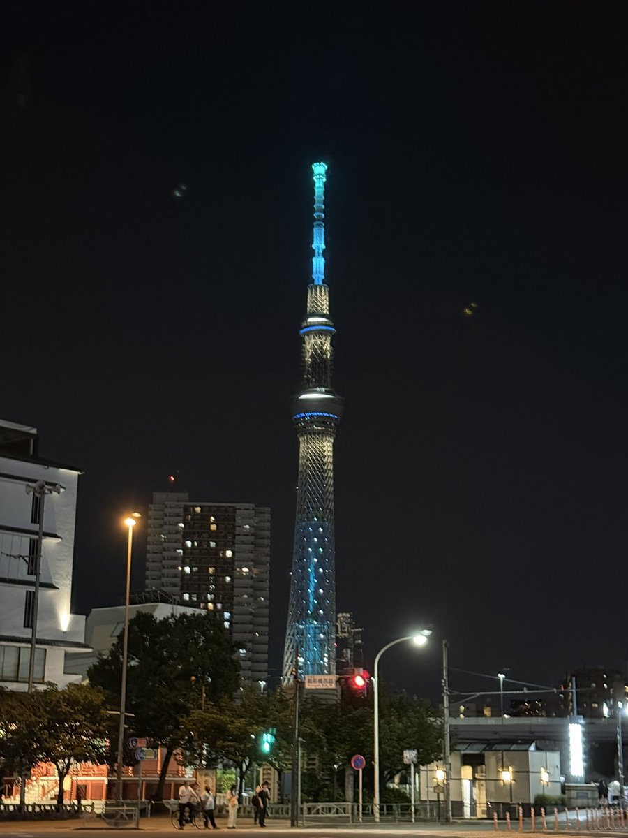 yaimania's tweet photo. (昨日)あおい顔して、宿のチェックイン限界を目指してふと新吾待ちしたらイカすツリーが光っててたw https://t.co/m0Q5aLetsQ