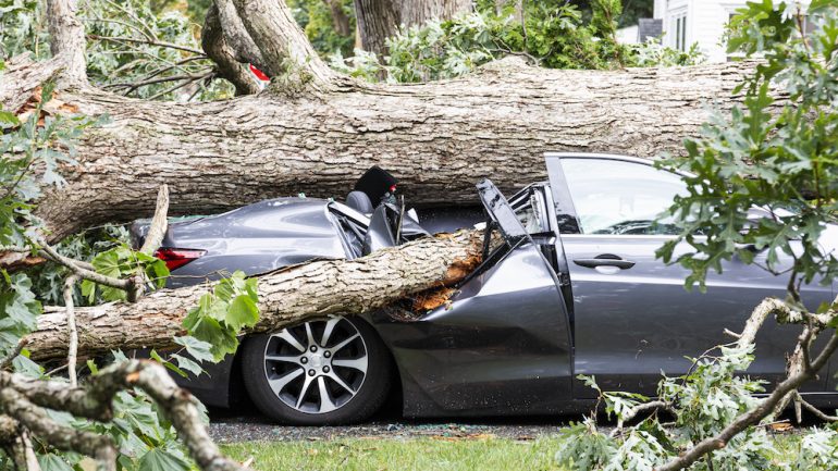 utahshomehunter's tweet photo. If Your Neighbor’s Tree Falls on Your Property, Whose Insurance Pays? https://t.co/sPjdsmwPrs https://t.co/d0AFk23o4p