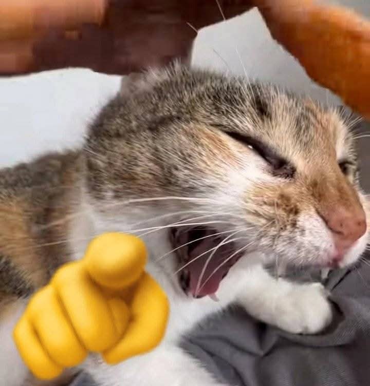 OB_NOX_XIOUS's tweet photo. [[ me @ myself for thinking my ideas are good and I should just stick to writing this dumb ass muse 

HAAAAAAH https://t.co/gevGUuU7KU