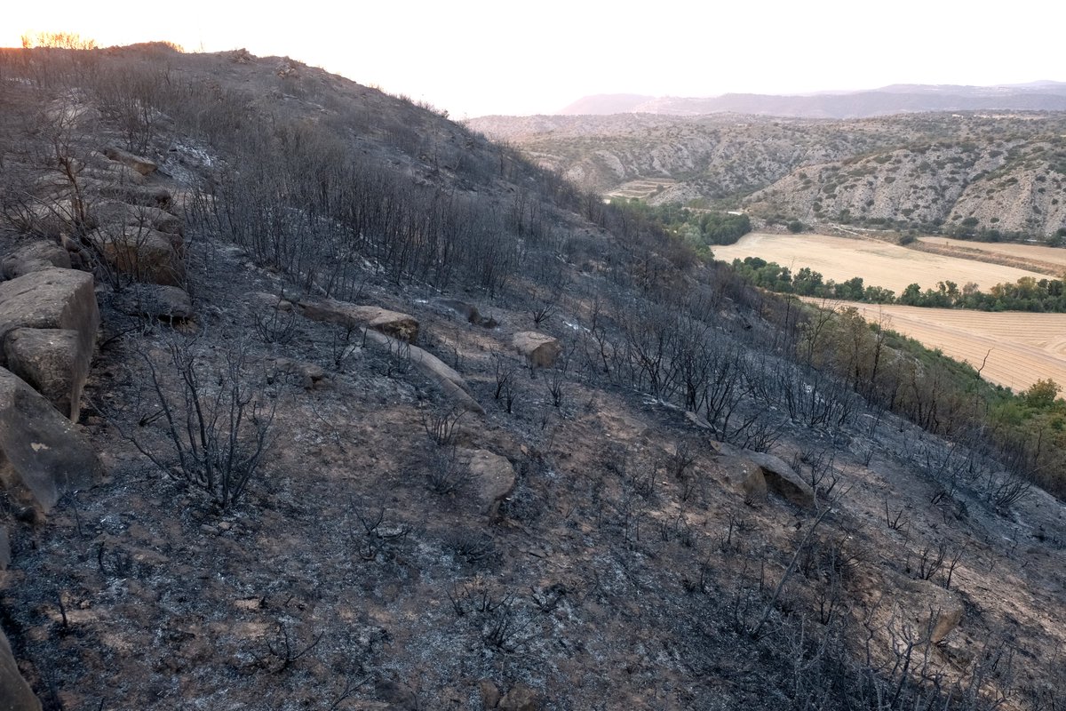 JmSantesm's tweet photo. L'Espai d'Interès Natural de la Vall del Llobregós ha tornat a patir les conseqüències del foc, amb important afectació de la roureda de la cara nord, formada per roures de fulla petita. El juliol de l'any 2009 ja es va veure afectat per l'incendi de La Donzell https://t.co/0imyOrtGUJ