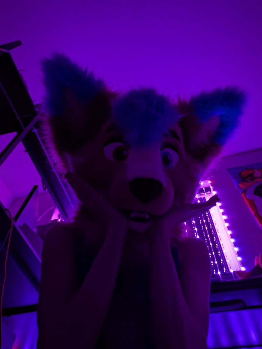 xousfennec's tweet photo. Oh no! I can't decide what to post! Guess I'll soon have to default to posting generic fennec smut at this rate D: https://t.co/wEtPo5jsKy