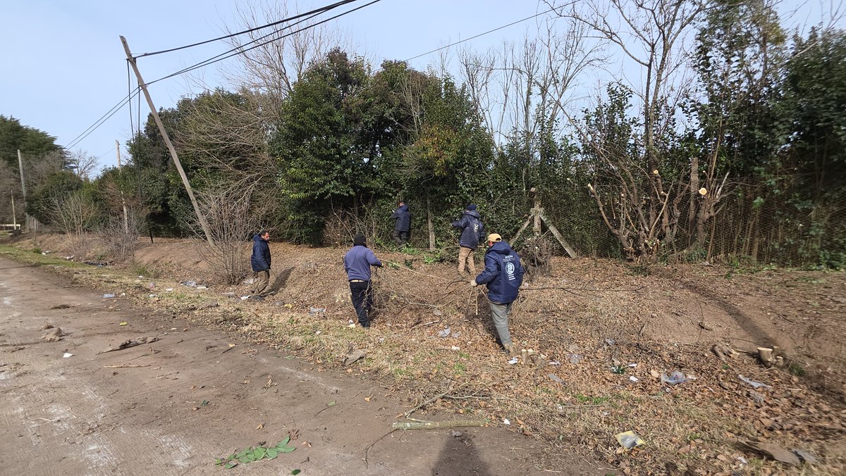 MuniChivilcoy's tweet photo. 🚜 Continuamos con las tareas de puesta en valor y mantenimiento en Ruta Nacional Nº 5 y la prolongación del acceso Dr. Raúl Alfonsín.

👉La Secretaría de Servicios Públicos está llevando adelante trabajos de limpieza, restauración y acondicionamiento en ese sector que incluye en el sector que incluye el acceso al Parque Industrial, al Tiro Federal y al predio de CAZMA.

📲 Para realizar reclamos o consultas vinculadas a Servicios Públicos, comunícate por WhatsApp al 2346-64-3636 o acércate personalmente a la oficina ubicada en Hipólito Yrigoyen y 9 de Julio, de lunes a viernes de 8 a 14 horas.

¡Seguimos trabajando en distintos puntos de la ciudad en beneficio de nuestros vecinos! 

https://t.co/Tdtk7ZU1N1