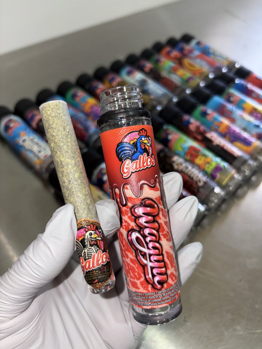 holysrollsmx's tweet photo. #gallosbrand #gallosfinos https://t.co/Ke04dvhgnJ