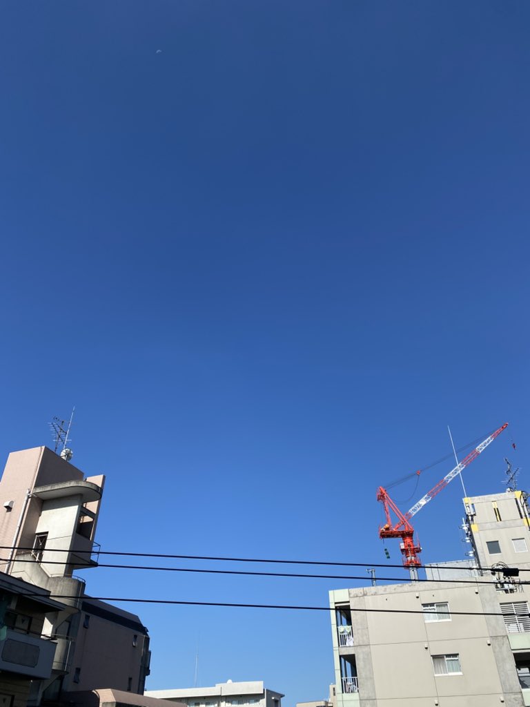 ankoemi tweet picture