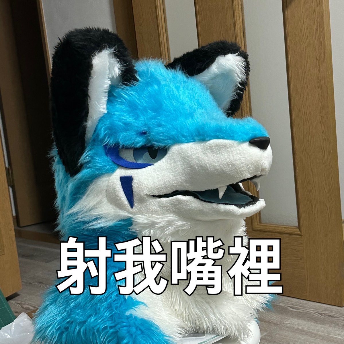 qbinu95's tweet photo. たまにこういう感じのアイコンの人台湾にいるよね https://t.co/MaL4hysXAY