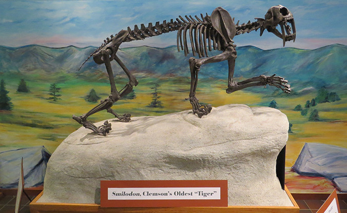 Discover_SC's tweet photo. Don’t let “rock museum” fool you—Clemson’s Bob Campbell Geology Museum is full of glowing surprises, rare gems, ancient fossils and hands-on wonder for the whole family. https://t.co/wD8wKT5tj2 #DiscoverSC https://t.co/M7biWQtwYs