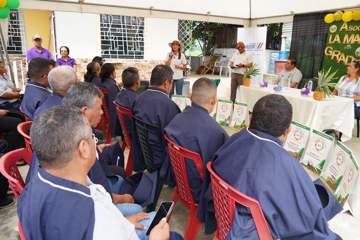 Agricultura_CZ5's tweet photo. #LosRíos | 42 productores de la Asociación La Maritza de Montalvo, recibieron sus certificados de las Comunidades de Aprendizaje de la AFC. Aprendieron sobre manejo ecológico de suelos, preparación de bioinsumos, saberes ancestrales y conservación de semillas
#GobiernoDelEcuador https://t.co/S1asRcPJow