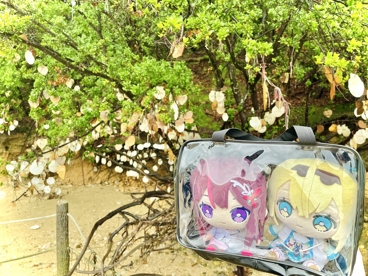 おまとめ中　　　　　　　ジャンピング猫　貝殻 そういえばエンジェルロード渡った時にあずきちとござるさんの貝殻の