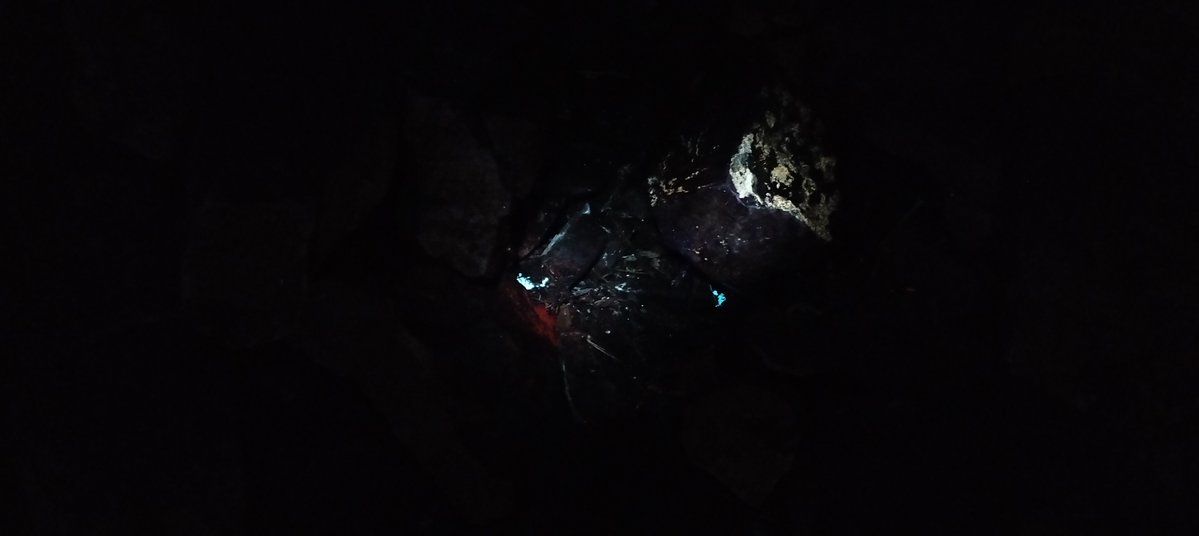 InteractuaMx's tweet photo. ¿Sabías que algunos organismos vivos son capaces de producir luz propia mediante una reacción bioquímica? Se trata la biofluorescencia y en Querétaro puedes presenciarla en la comunidad de El Doctor, Cadereyta de Montes, a media hora del Pueblo Mágico de San Joaquín. https://t.co/qofUfvCuOO