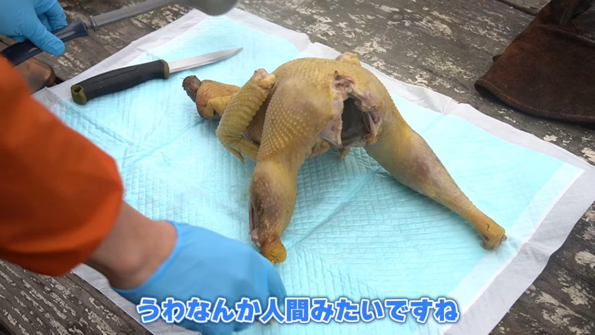 LuponDandy103's tweet photo. 好きな狩猟系YouTuberの動画みてたらサーフ系ボディビルダーみたいな鶏でてきて熱い https://t.co/rytYPnUz3i