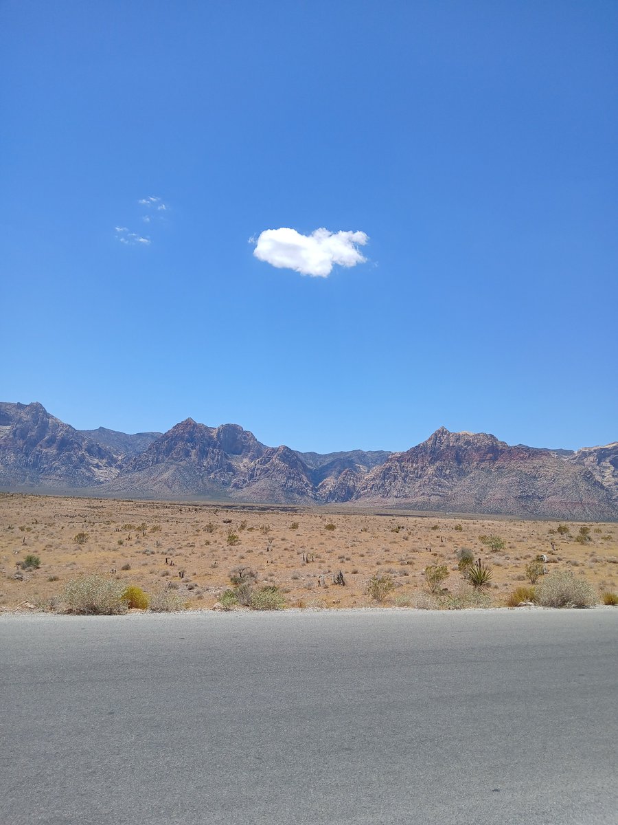 JessSmallStar11's tweet photo. I love the desert, I love the heat &amp; I love palm trees. 🌵🌴☀️❤️ https://t.co/BOSQOC8IM4