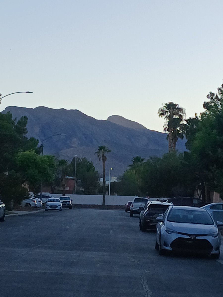 JessSmallStar11's tweet photo. I love the desert, I love the heat &amp; I love palm trees. 🌵🌴☀️❤️ https://t.co/BOSQOC8IM4