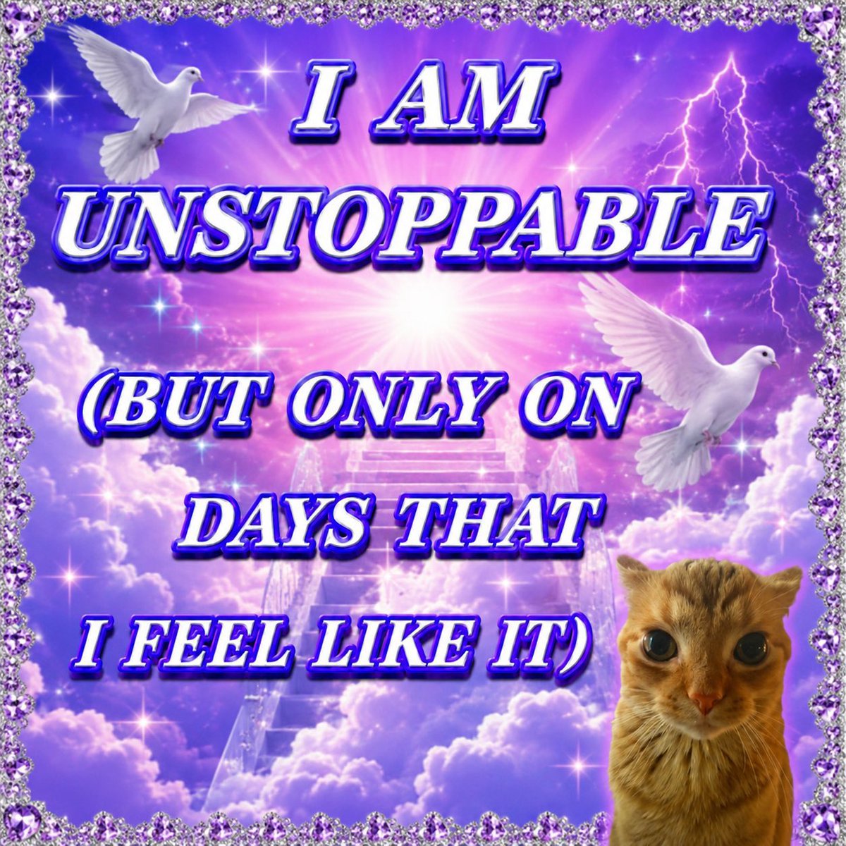 gakstercat's tweet photo. https://t.co/j59GBiufpq