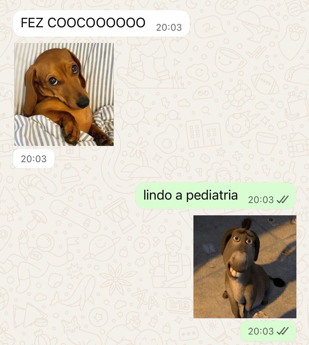 fernnandalrc's tweet photo. pedi noticia do meu paciente pro meu amigo que ta de plantão hoje https://t.co/l9I68vrCDZ