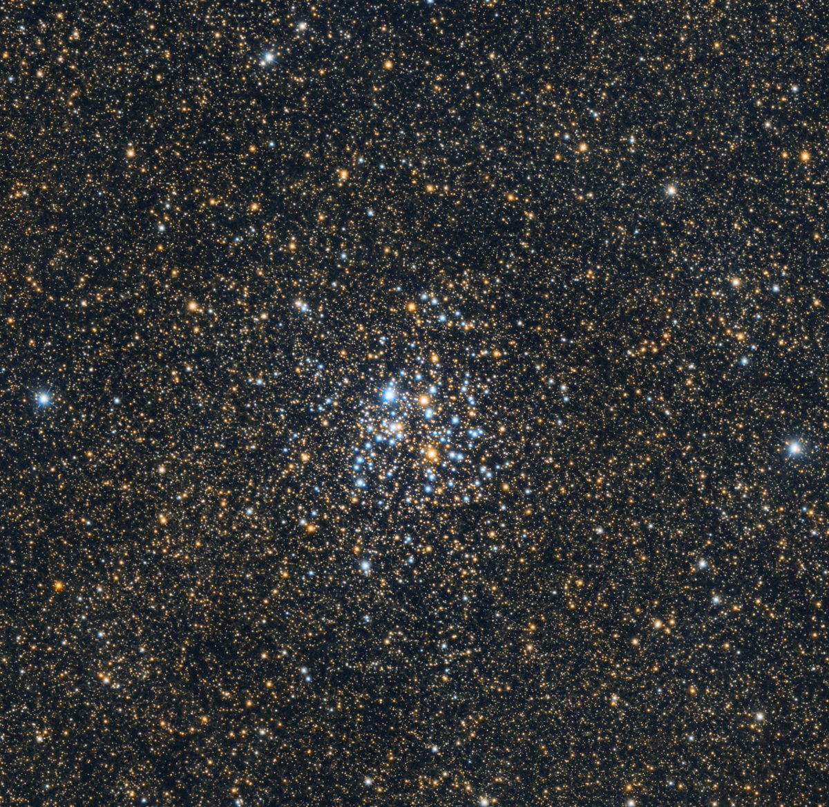 chucksastropho1's tweet photo. Hello Everyone, here is my latest capture - the M26 open star cluster.  It's still in its infancy at around 90 million years old and contains about 90 to 250 stars.  I used my Celestron RASA telescope and ZWO ASI533MC color camera. https://t.co/OufIvZ5K7T