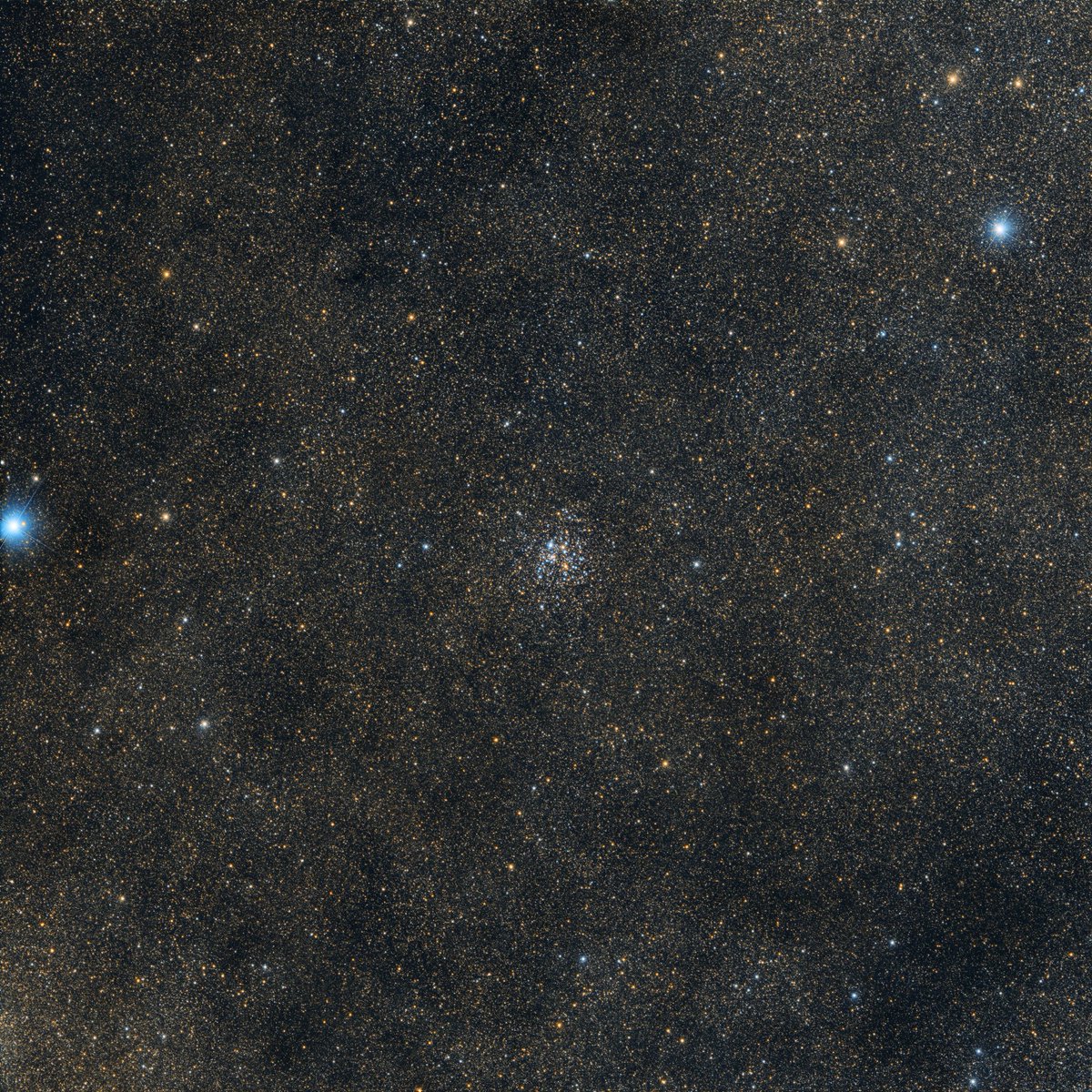chucksastropho1's tweet photo. Hello Everyone, here is my latest capture - the M26 open star cluster.  It's still in its infancy at around 90 million years old and contains about 90 to 250 stars.  I used my Celestron RASA telescope and ZWO ASI533MC color camera. https://t.co/OufIvZ5K7T