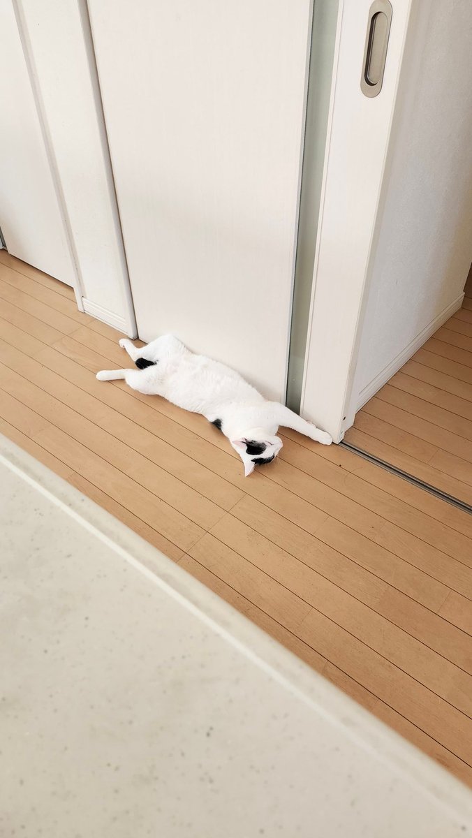 GUm9e's tweet photo. 高３男子の母ちゃんやってます
おにぎりは間食用
詰め方のセンスZERO…… https://t.co/xDN3Je4FCc
