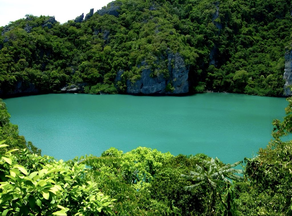 TheZedArchive's tweet photo. 📍 Blue Lagoon National Park | Central Province (Zambia🇿🇲)
Not every paradise is famous. The most beautiful places rarely ask to be seen. They simply wait for those willing to find them. A masterpiece painted by God’s own hands. Peaceful, Beautiful and untouched. https://t.co/5qENYPvY1k